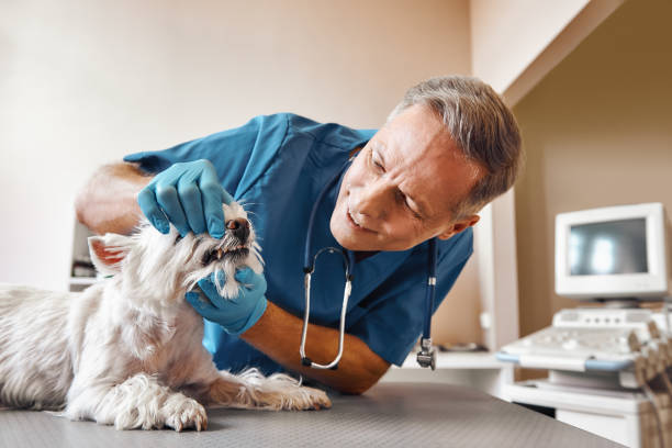 Best Emergency Tooth Extraction in Elizabethtown, NC